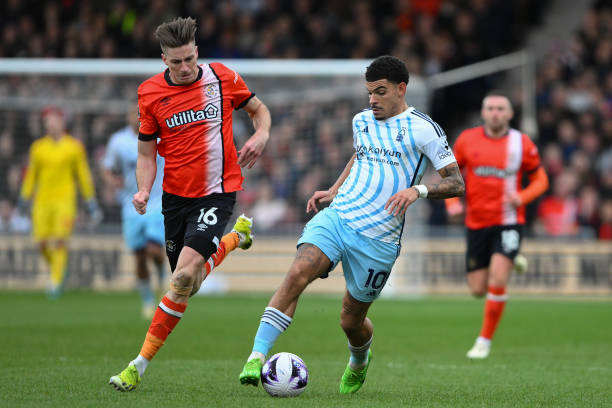 显了体育赛 显了体育赛